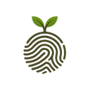 ReRoot